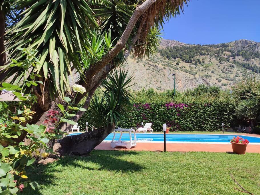 Da Nonna Cettina Appartamento In Villa Con Piscina パレルモ エクステリア 写真