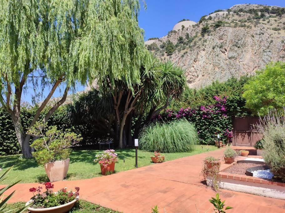 Da Nonna Cettina Appartamento In Villa Con Piscina パレルモ エクステリア 写真